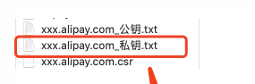 支付宝配置 - 图9